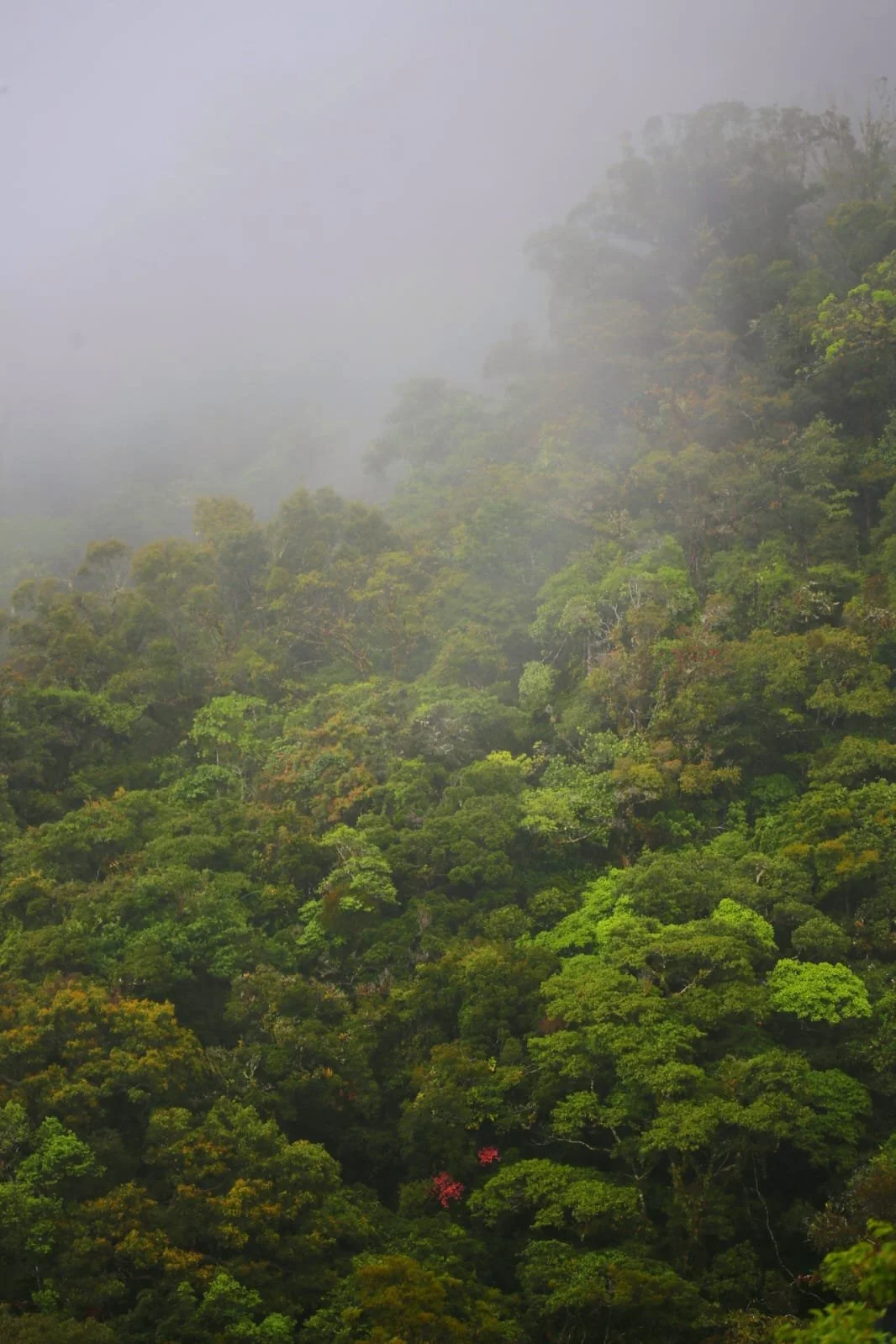 Universities in Panama: Public vs Private Education in the Crossroads of the Americas