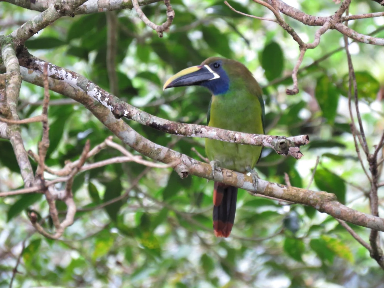 Planning a Trip to Panama: How to Research Smart and Still Leave Room for Adventure