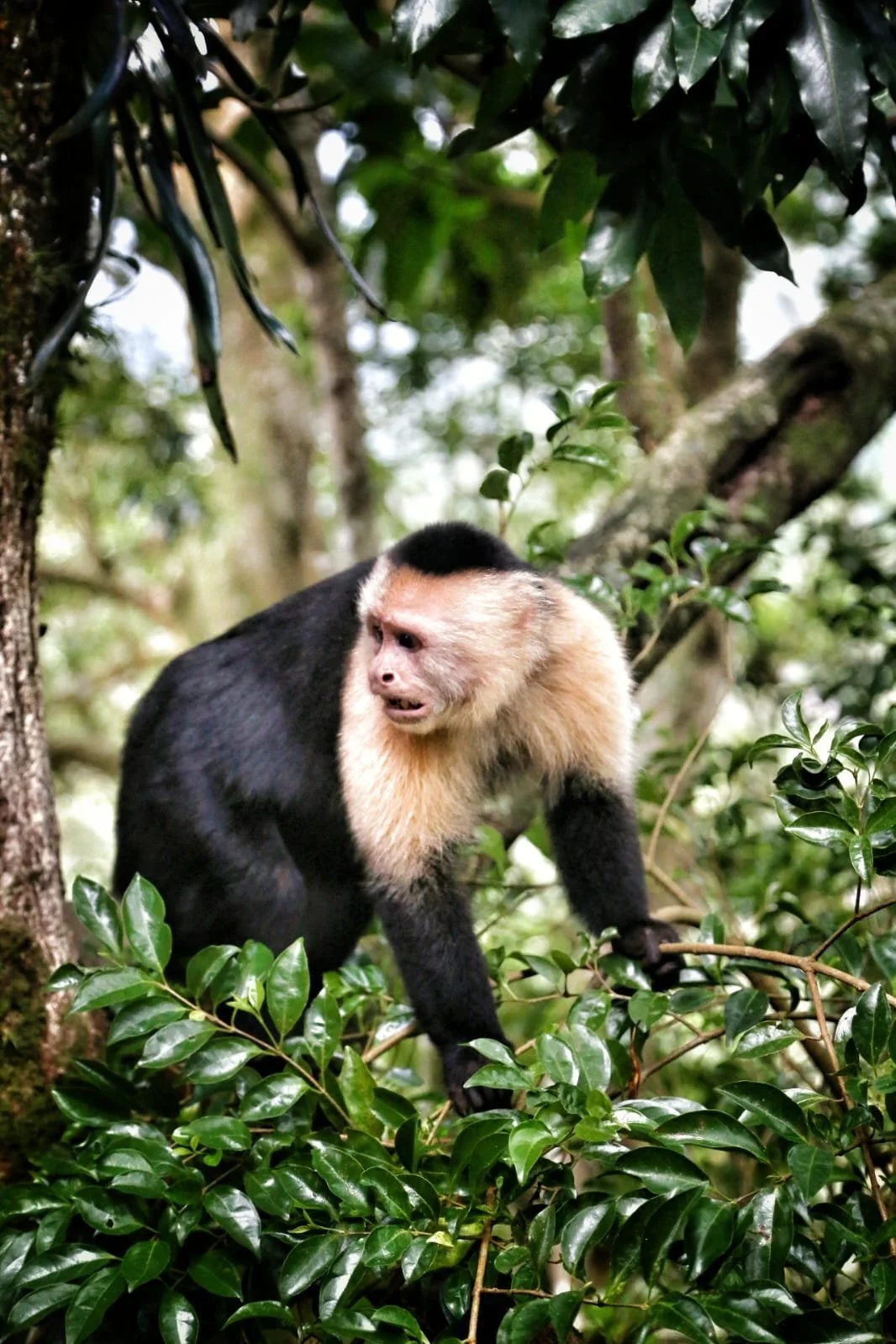 Punta Burica, Panama: Exploring One of the Wildest and Most Remote Places in Central America