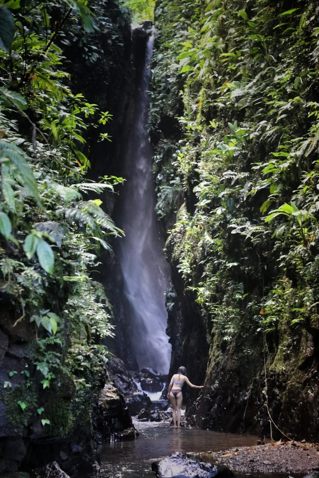 Animals You Shouldn’t Eat While Traveling in Panama  A Traveler’s Guide to Ethical and Safe Wildlife Choices