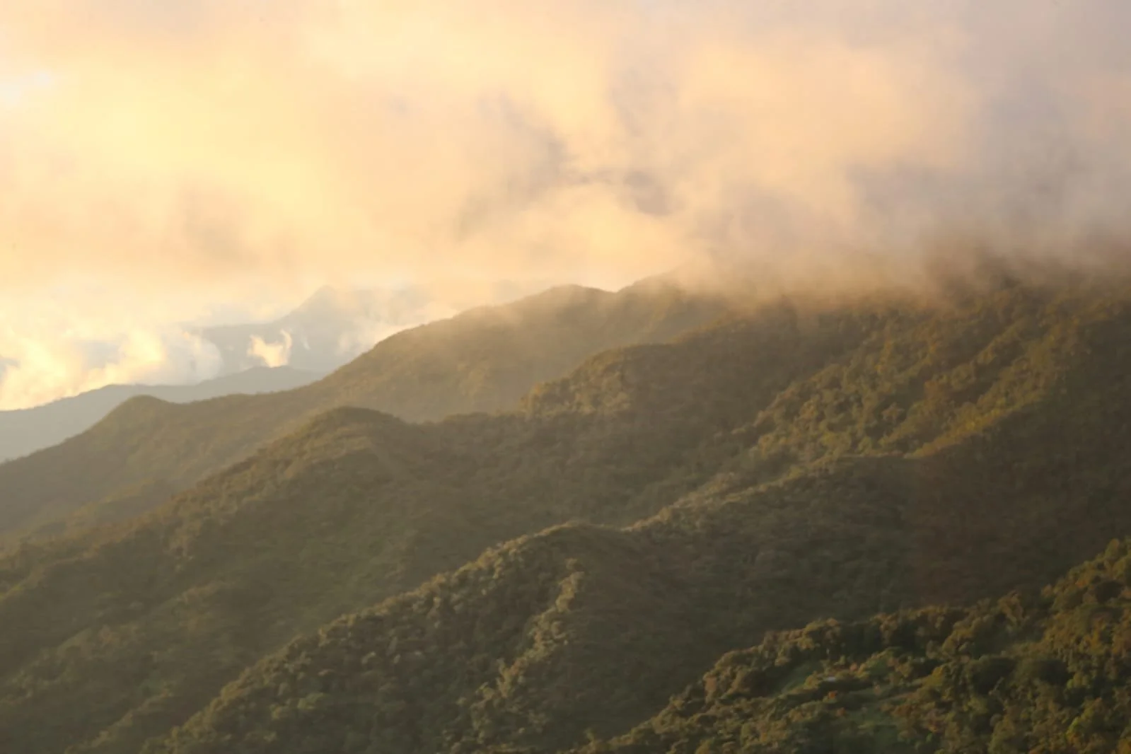 The Best Ways to Research Your Trip to Panama Online