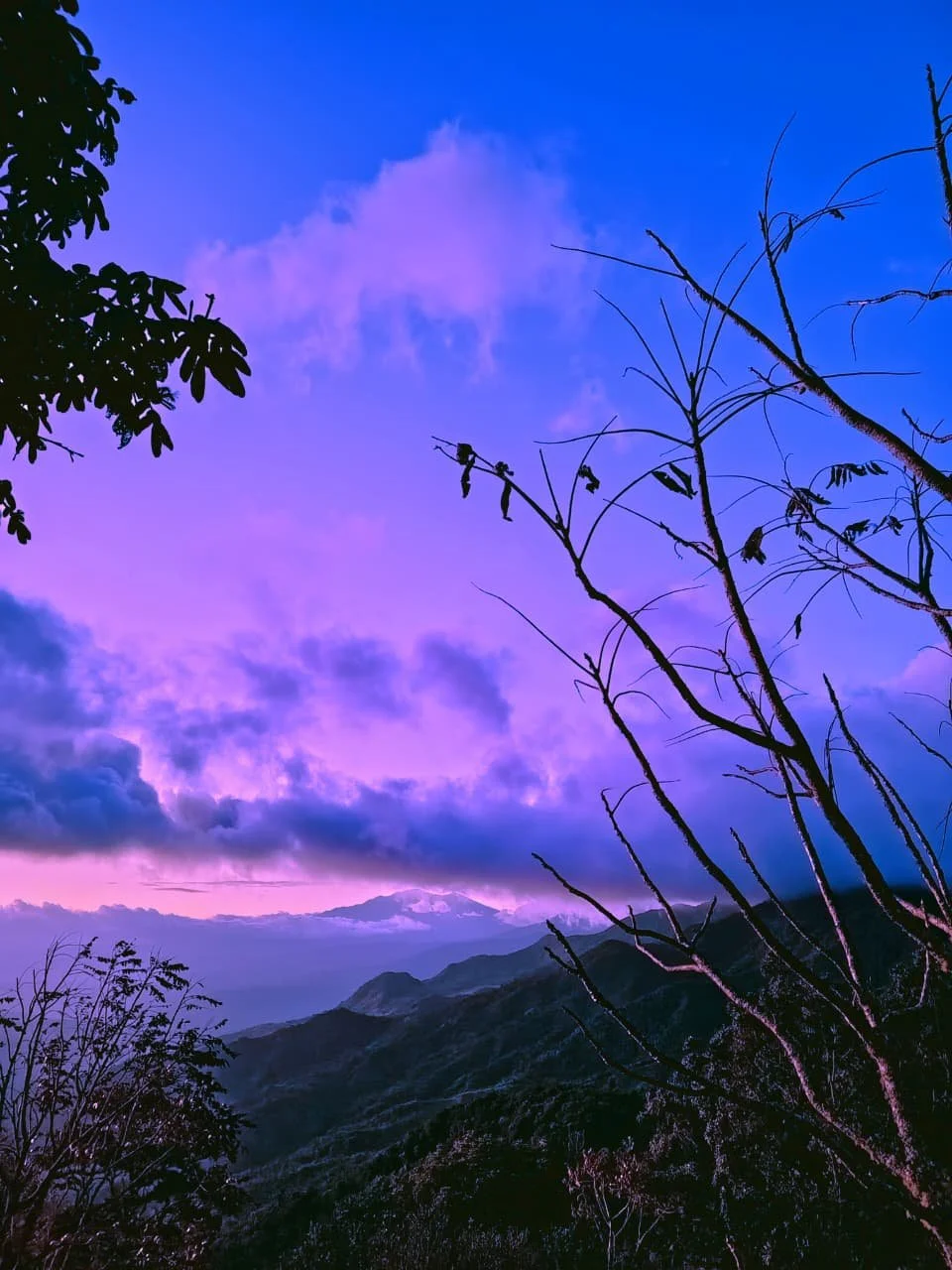 Warum das Lost and Found Hostel ein echtes Backpacker-Hostel ist