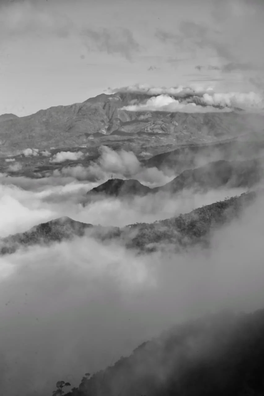 Langsam leben und lächeln: Der ultimative Faultier-Guide für Panama – Die komplette Ausgabe