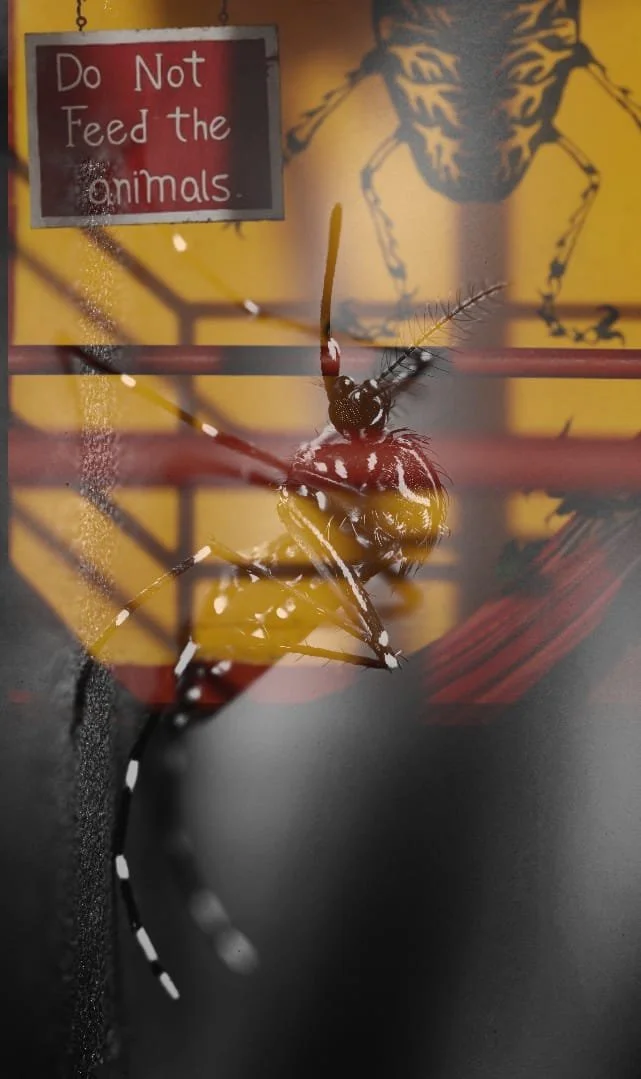 Warum das Lost and Found Hostel einer der lustigsten Orte in ganz Panama ist