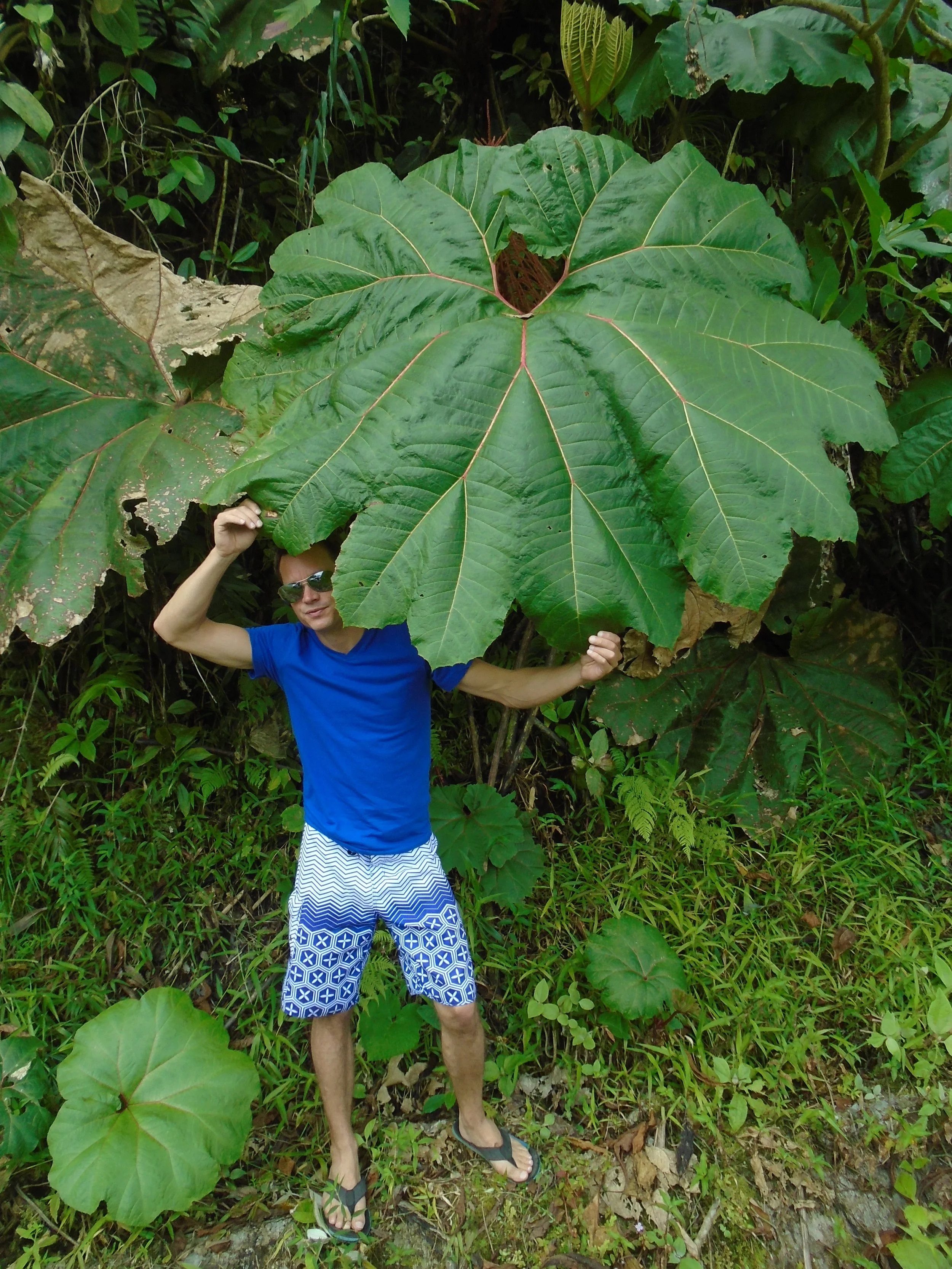 Waarom Lost and Found Hostel misschien wel de leukste plek is om te verblijven in Panama