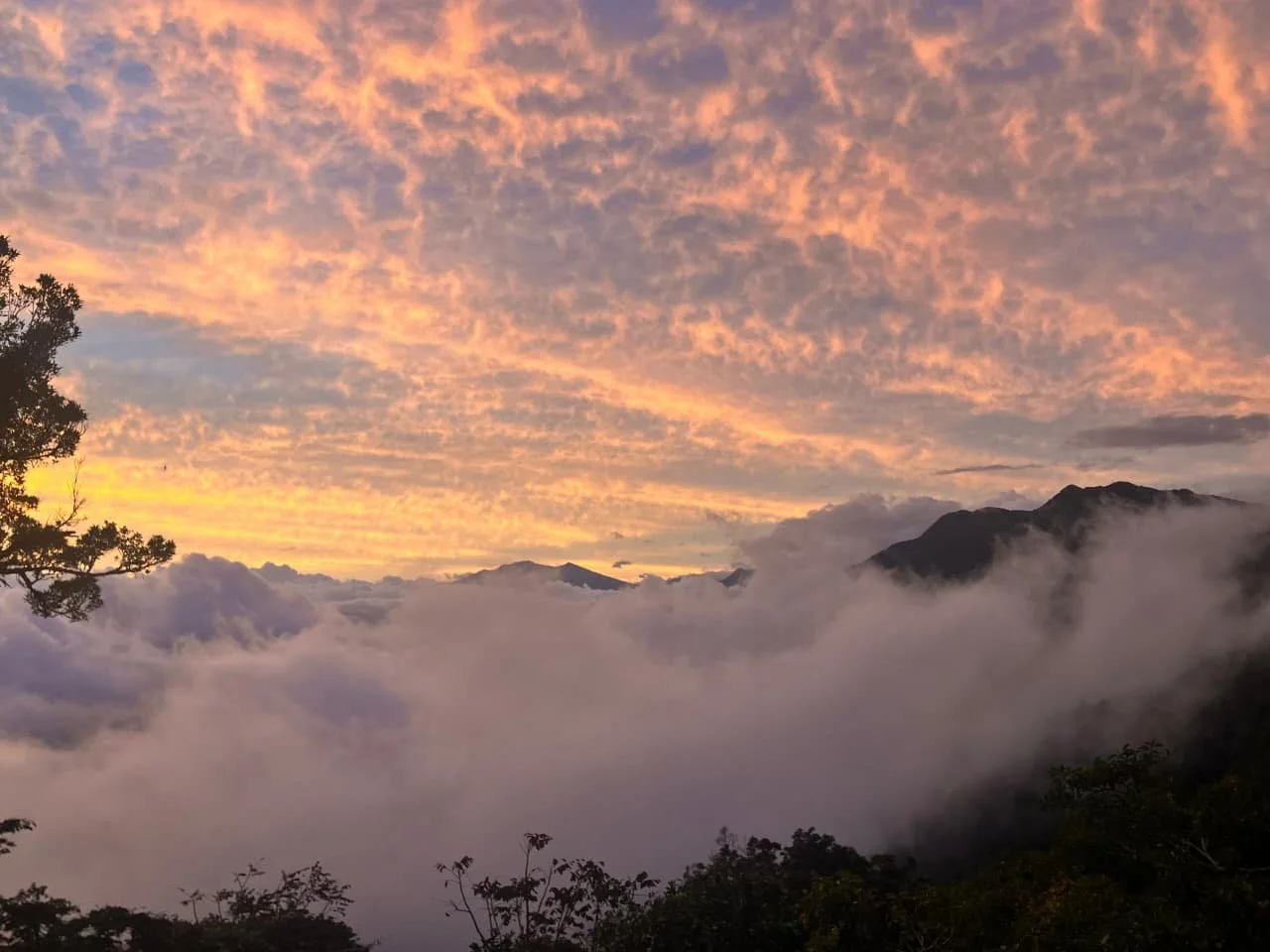 Wo man den Quetzal in Panama finden kann