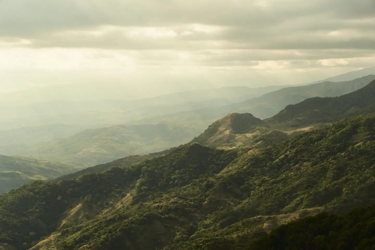 Où trouver le Quetzal au Panama
