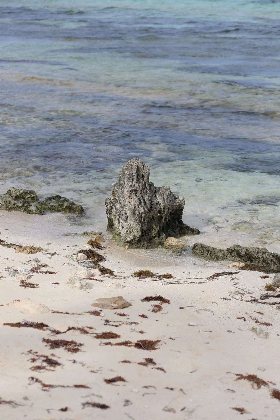 De Boquete a Bocas: La ruta más fácil de Panamá… y la parada que lo cambia todo sin que te des cuenta