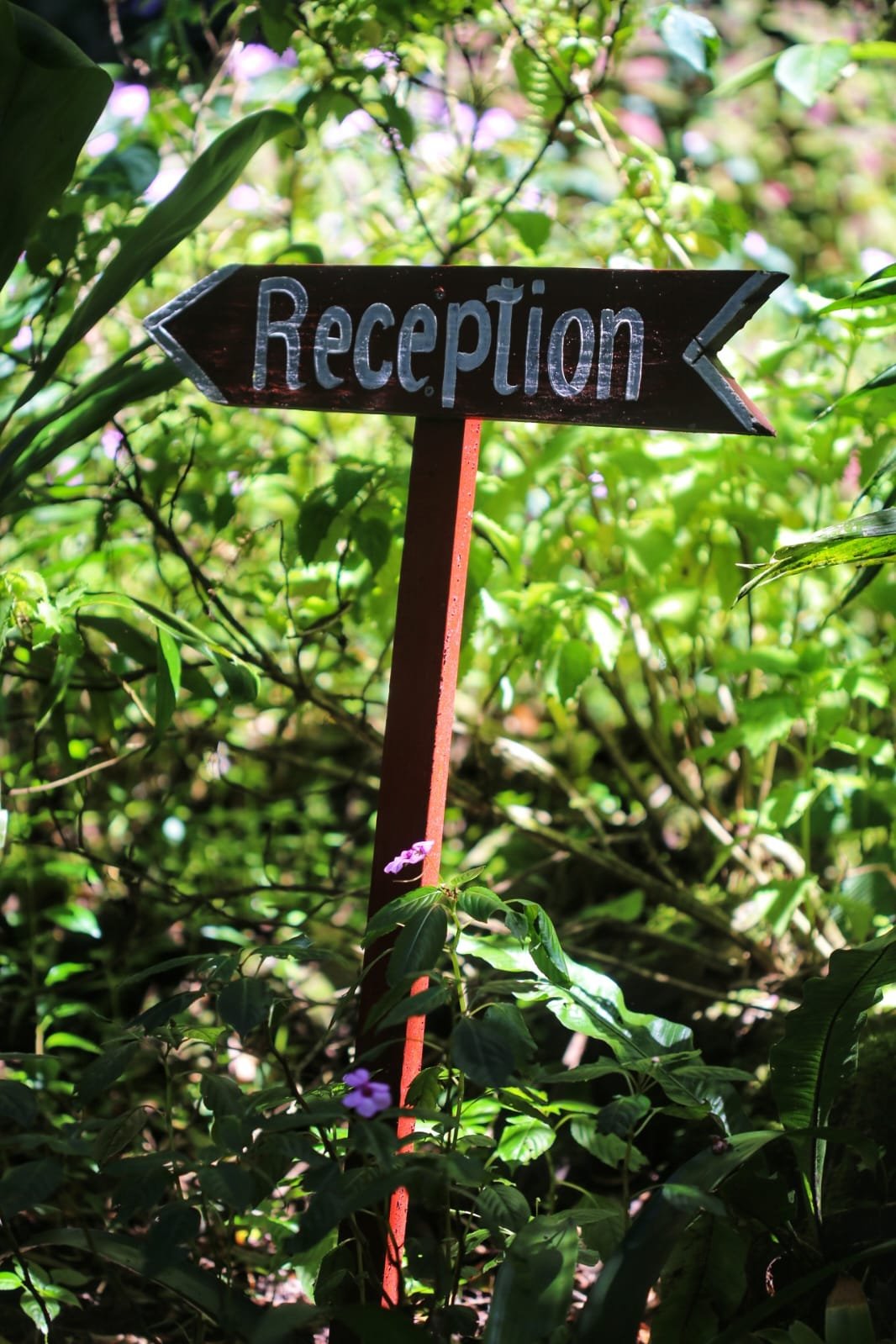 Skip Boquete? Why Backpackers Are Choosing Lost and Found Hostel for the Ultimate Panama Social Adventure