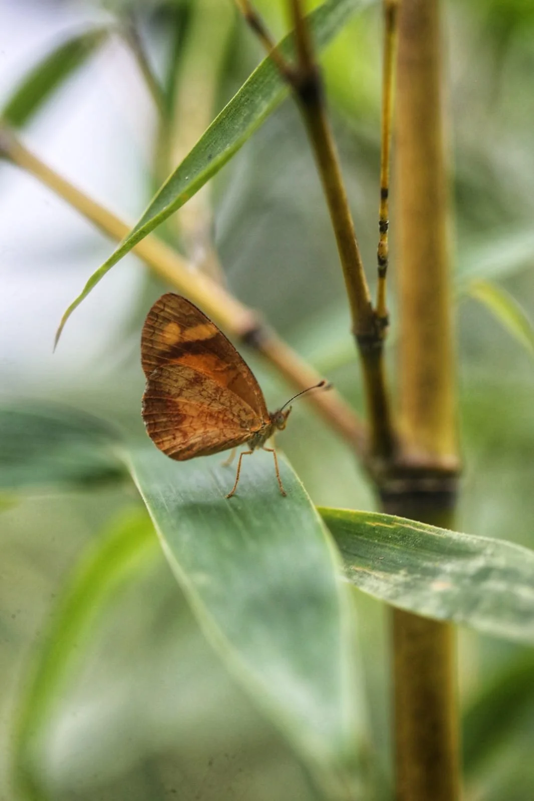 Panama’s Smallest Protected Areas: From Urban Forests to Rare Dry Ecosystems and Hidden Coastal Sanctuaries