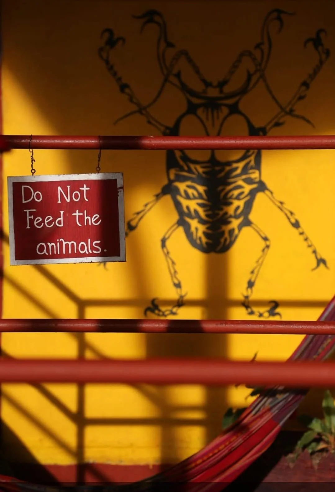 The Ultimate Backpacking Budget for Panama 🇵🇦💰