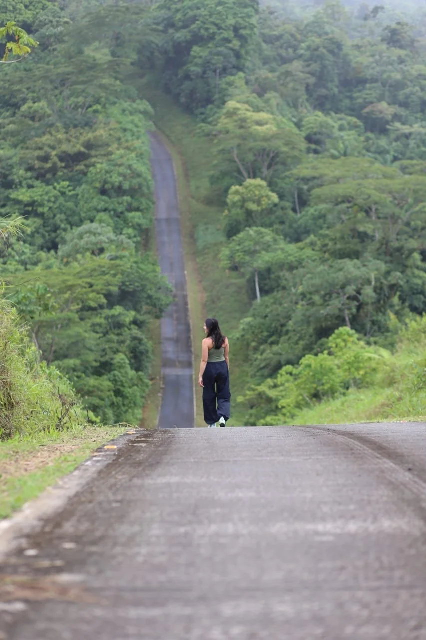 Living With the Unavoidable: Getting Used to Cockroaches in Panama