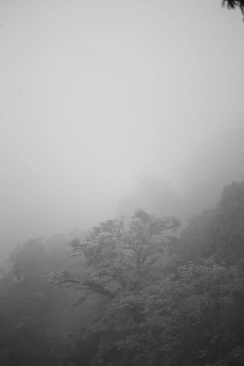 Rainy Season in Panama: Does It Really Rain All the Time?