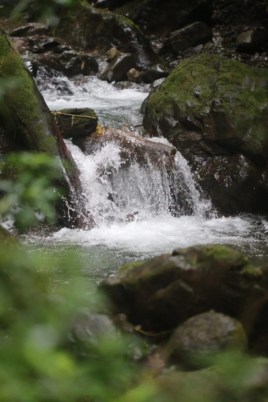 Bocas del Toro: Main Island or the Others? The Ultimate Backpacker Deep Dive