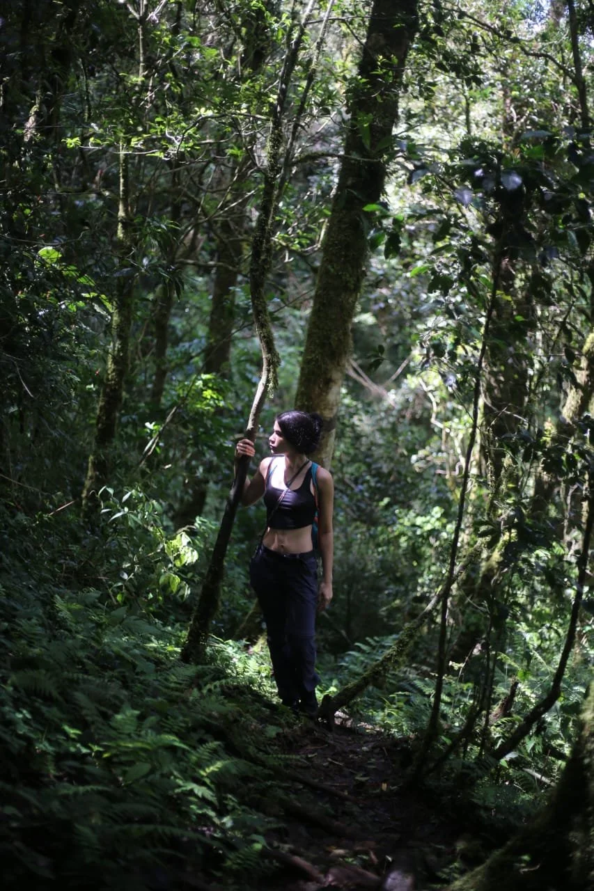 Gentle Giants of the Deep: The Day I Bumped Into a Whale Shark in Panama
