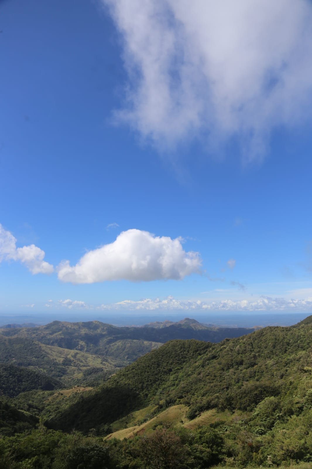 đ Der ultimative Walkthrough-Guide fĂŒr das Albrook Bus Terminal: Die Kunst, das Chaos von Panamas Verkehrsdrehkreuz zu meistern