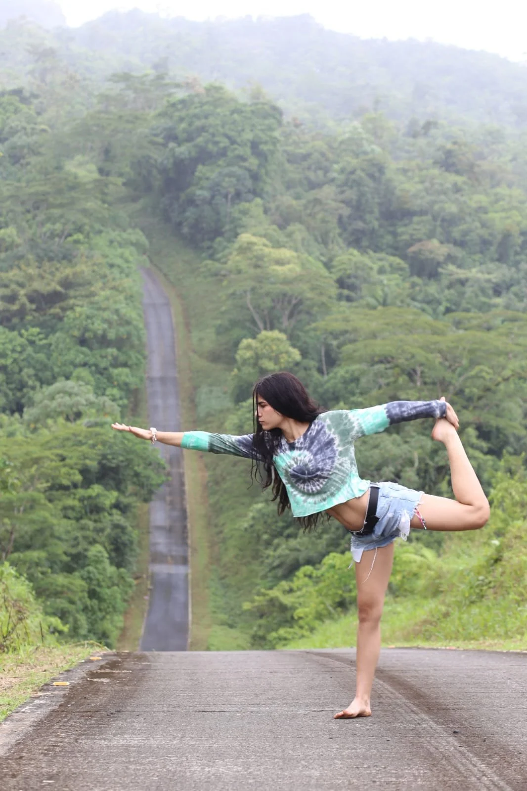 The Metal Song of the Mountains: Chasing Panama’s Magical Bellbird