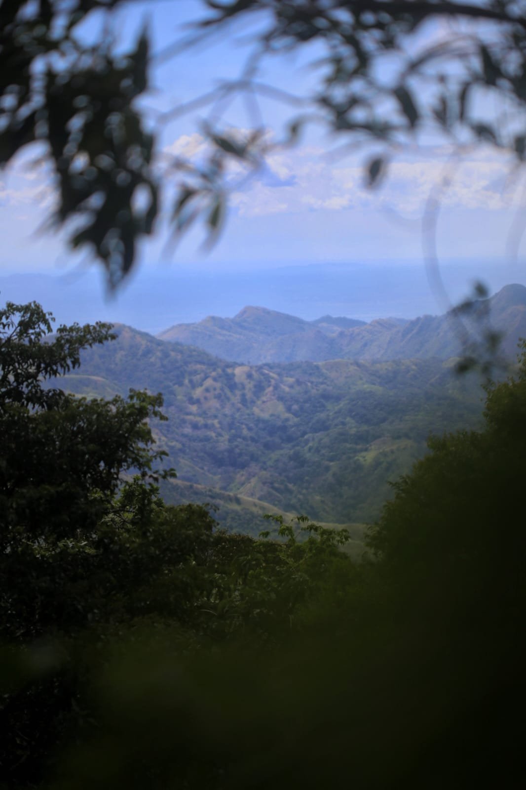 The Phantom of the Forest Floor: Panama’s Legendary Bushmaster