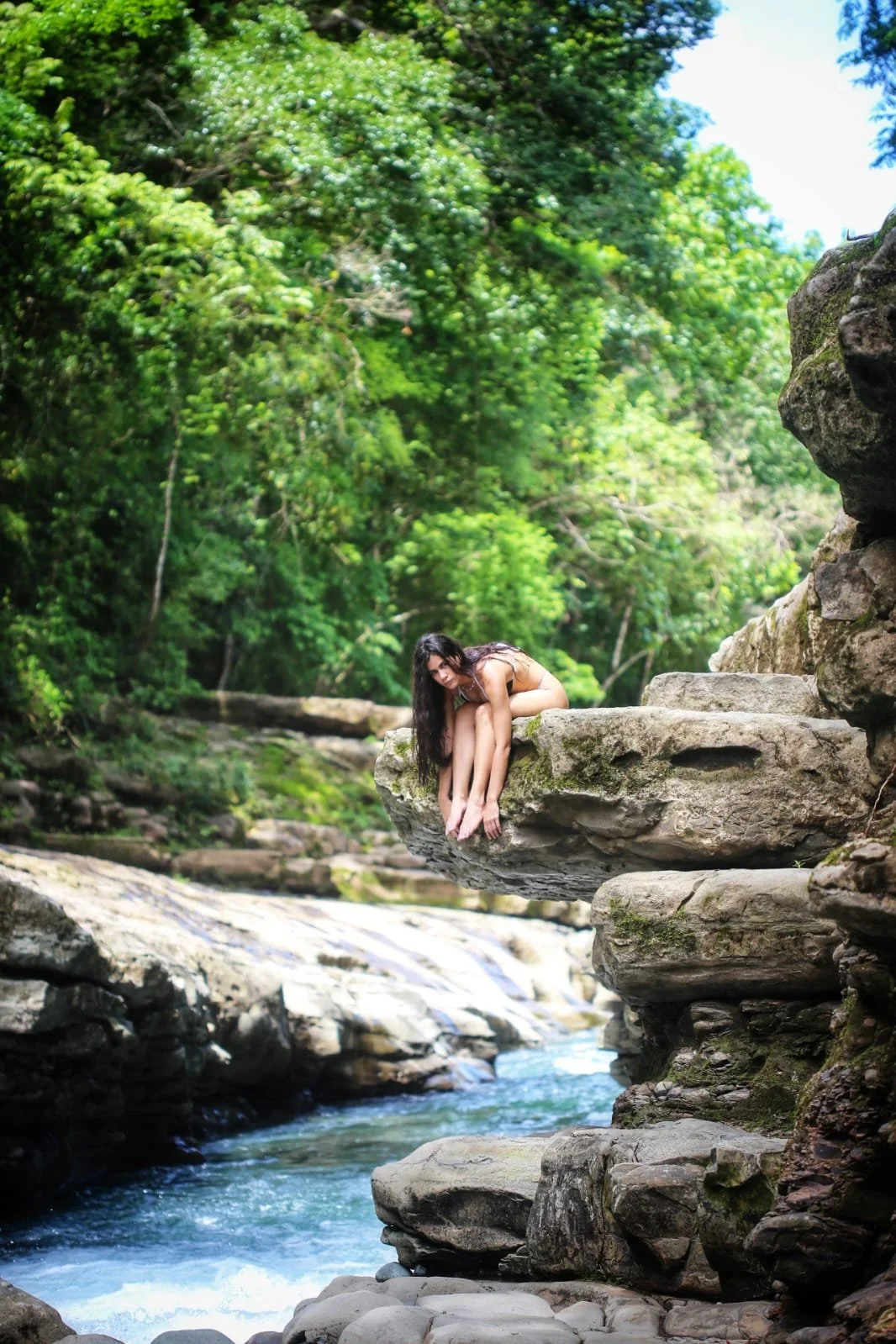 The Hidden Empire: A Deep Dive into the Ants of Panama