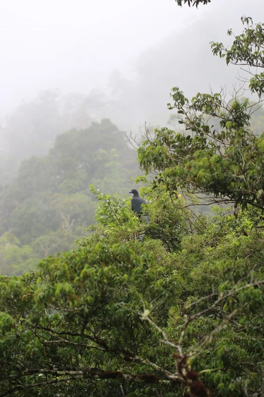 Solo reizen vs. met een vriend in Panama: de eerlijke, ongefilterde backpack-realiteit
