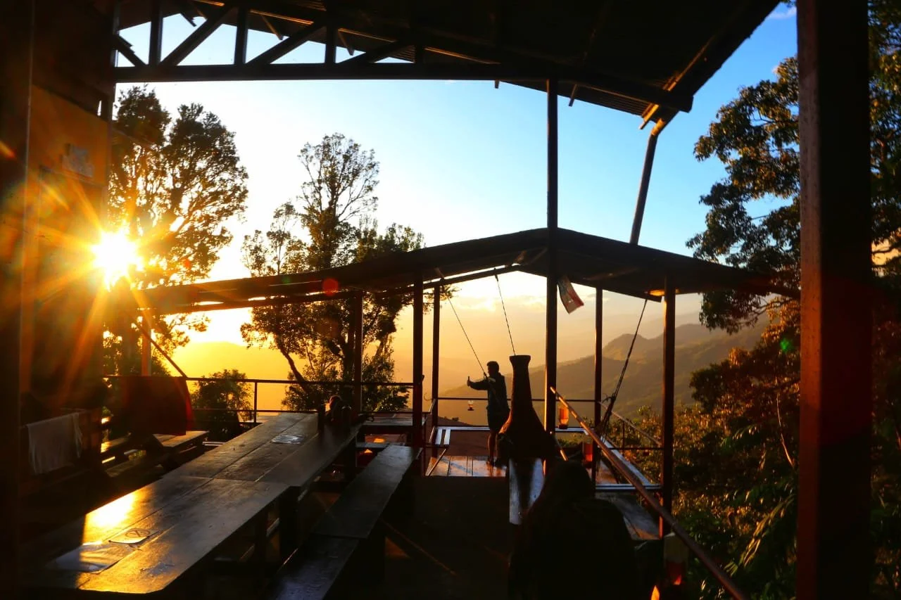 Silent Hitchhikers: The Truth About Ticks in Panama’s Wild Landscapes 