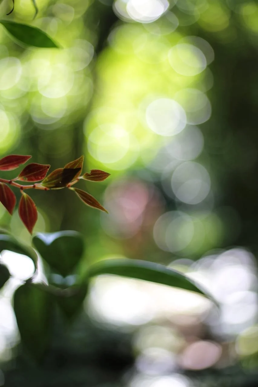 Eggs and Milk in Panama, What’s the Deal? Is this normal!?