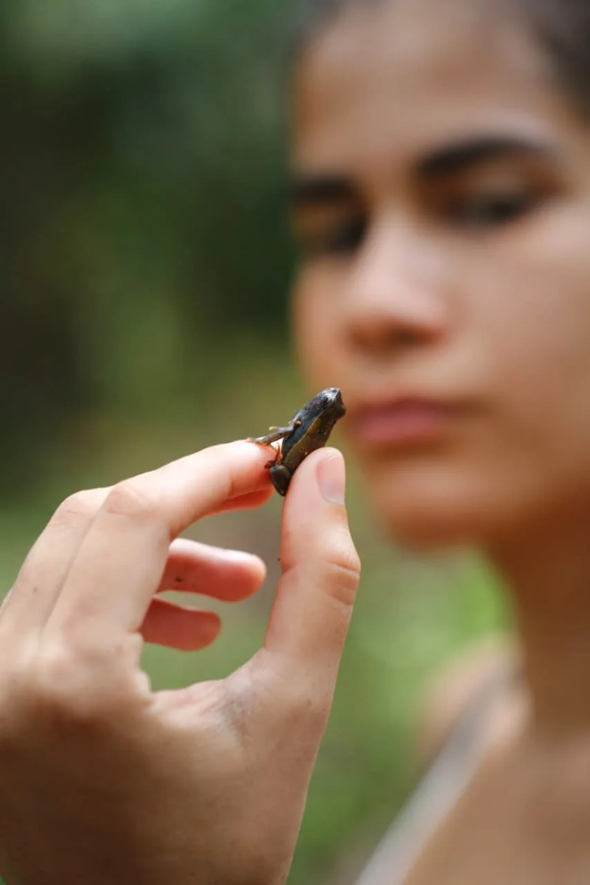 Do I Meet To Wash The Vegetables I Buy I'm Panama?