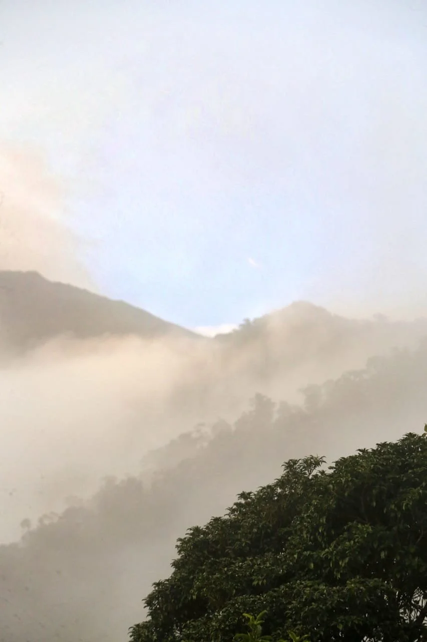 Opening a Bank Account in Panama as a Resident: The Real Insider Guide