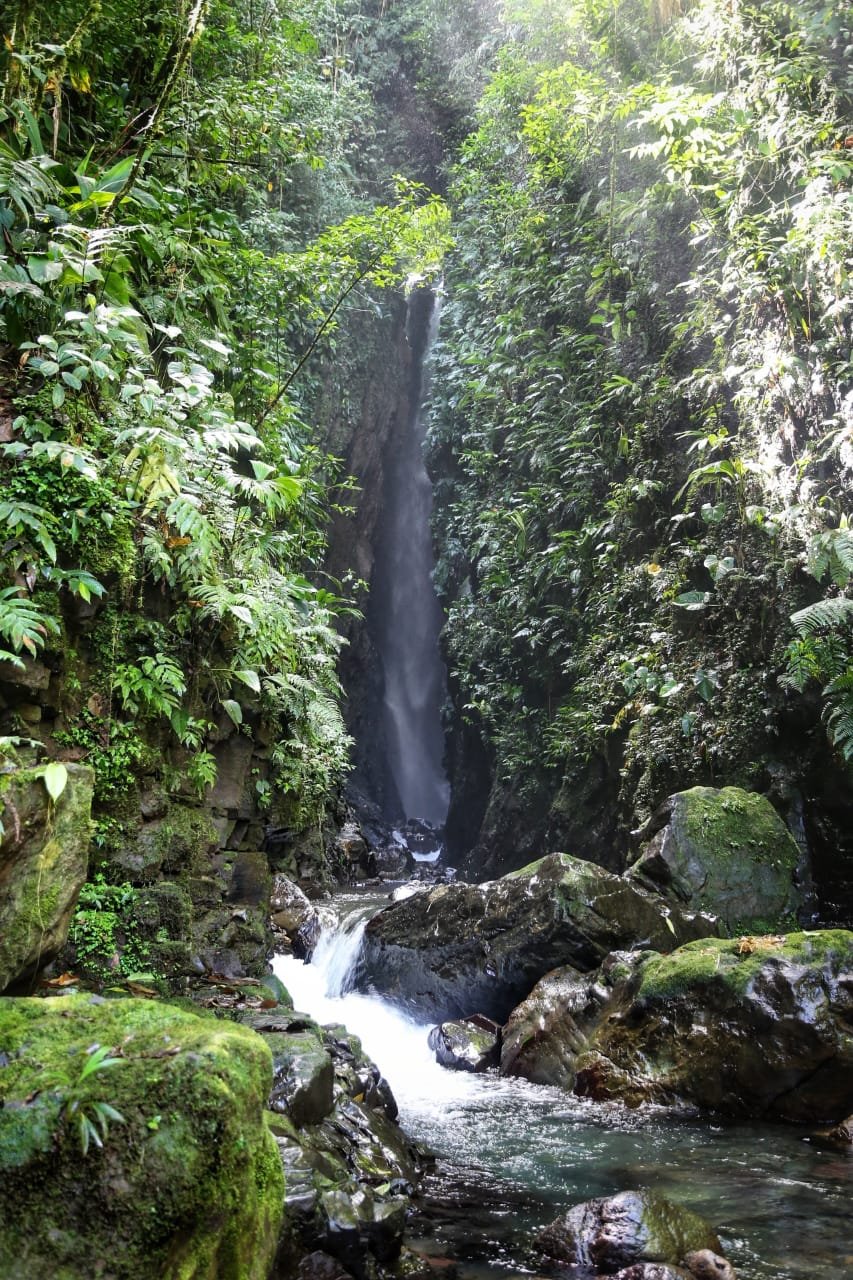 Lost in Translation? Not in Panama: The Ultimate Backpacker’s Spanish Survival Guide