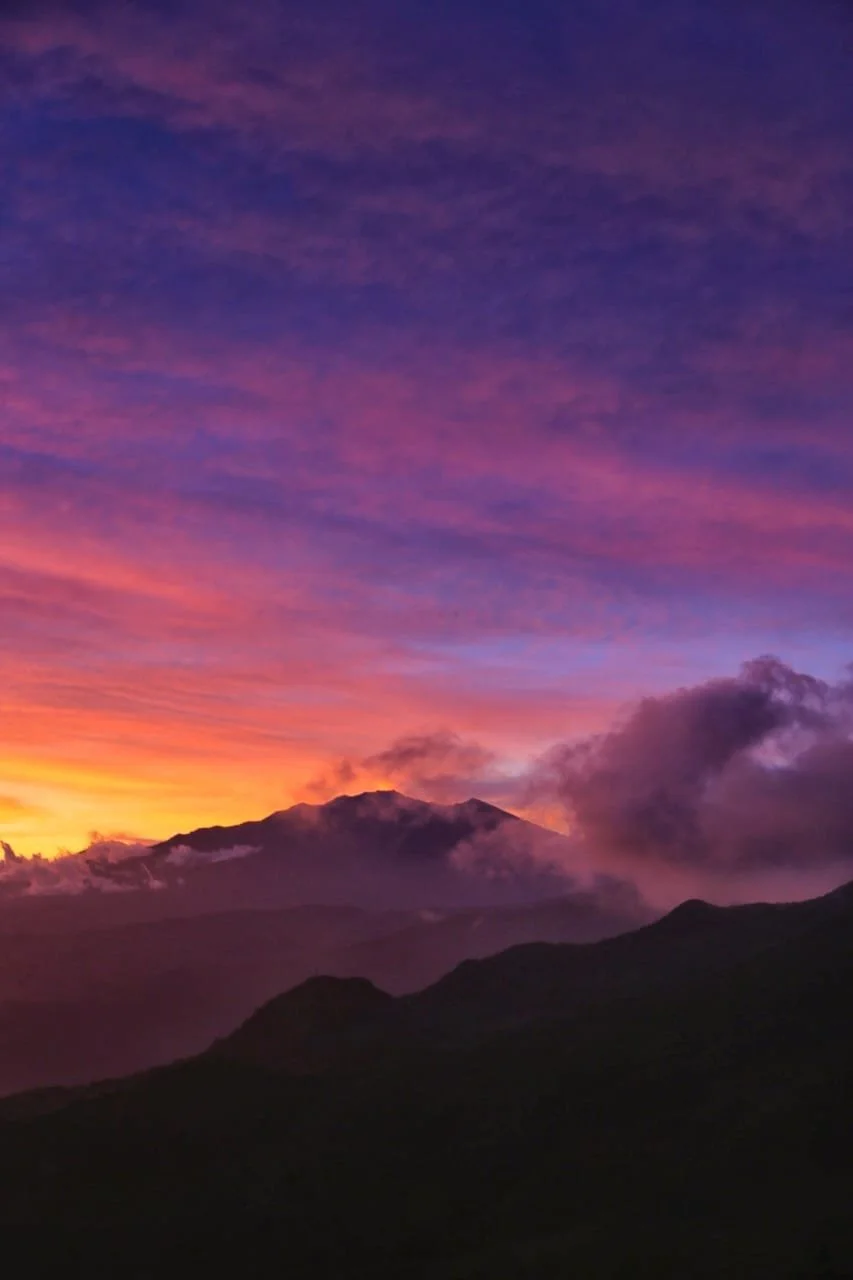 Devils in the Tide: The Ultimate Survival Guide to Stingrays in Panama