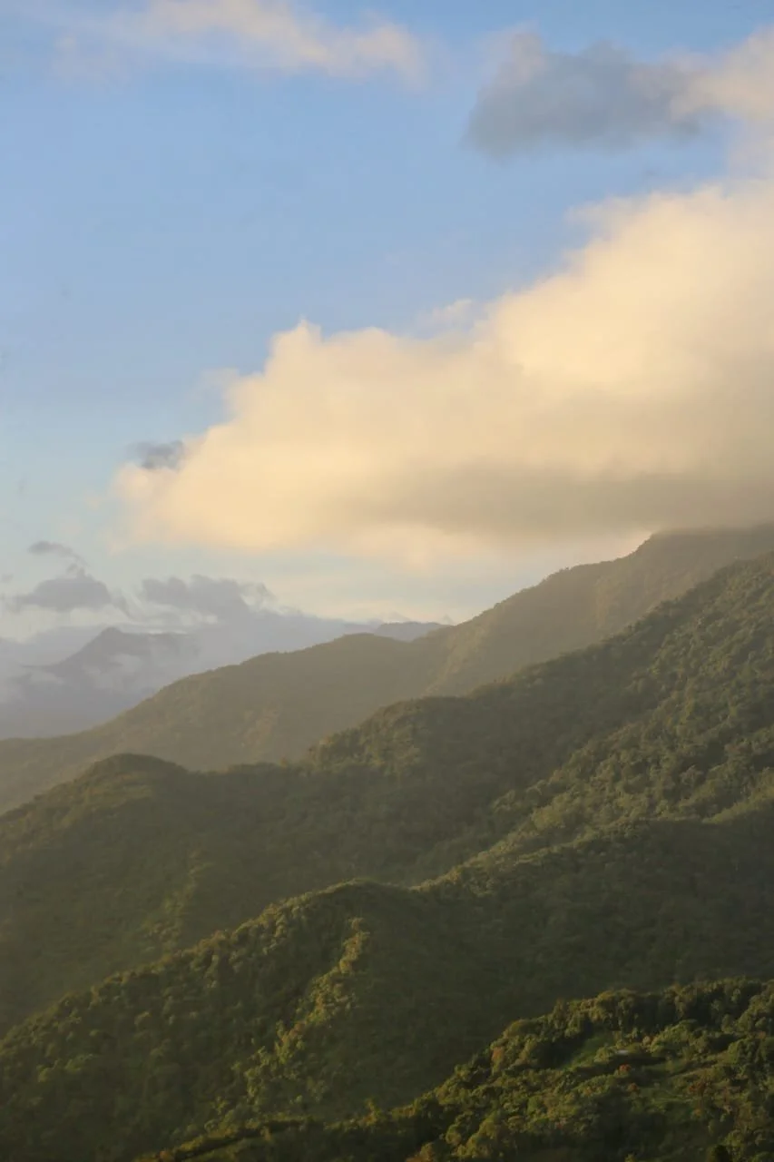 Bajareque: Panama’s Invisible Rain (and Why You’ll Feel It Everywhere in Boquete)