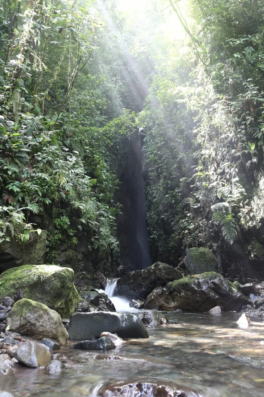 Do You Really Need to Book Ahead? Traveling Panama in the Slow Season