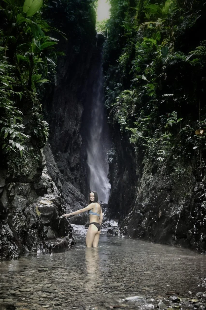 Ocelots and Margays in Panama