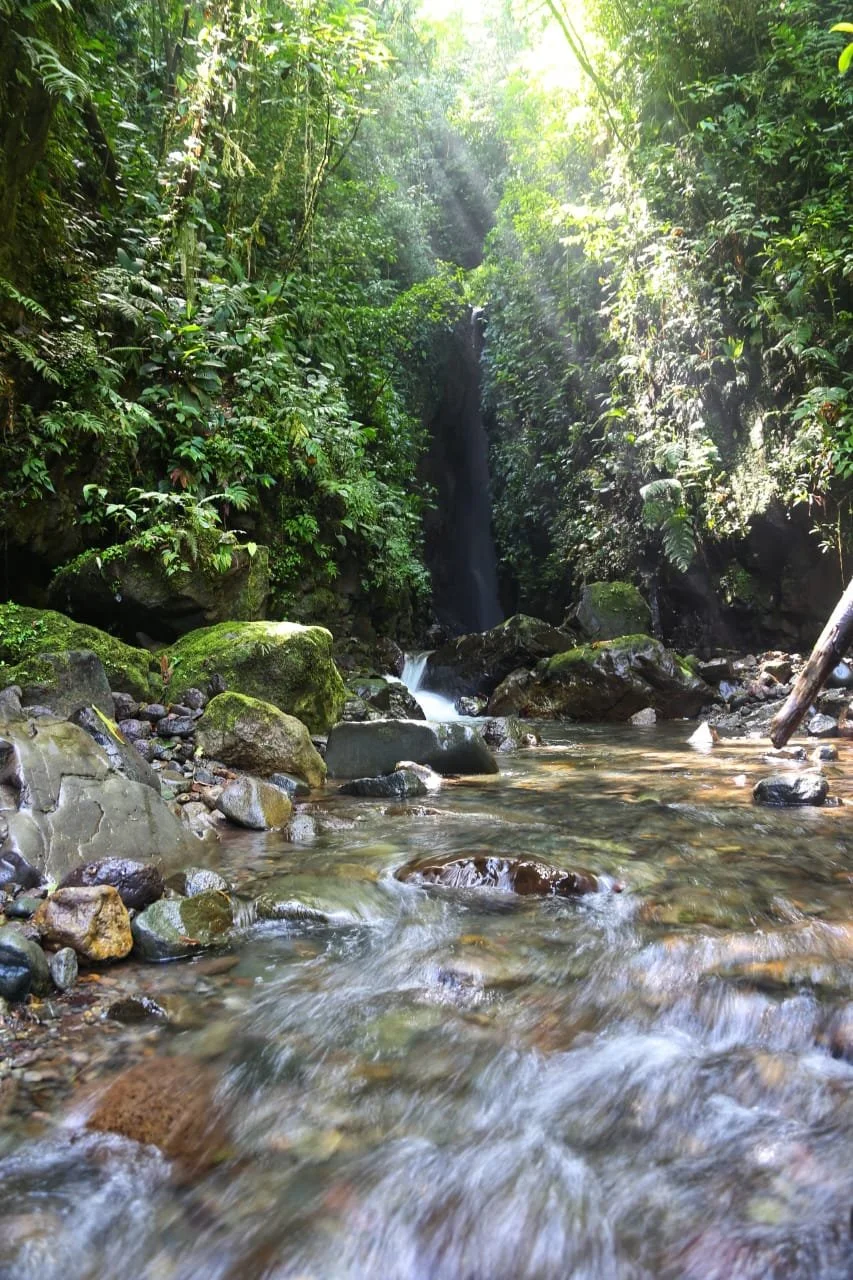 How Boquete Became Panama’s Expat Haven and Retirement Paradise — And Where the Next Boquetes Are Emerging