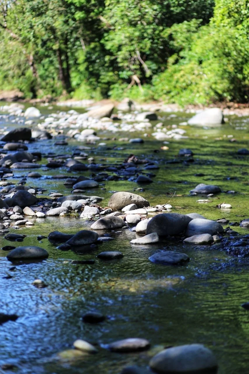 Highlands Uncovered, The Complete and Deep Dive Guide to Exploring Volcán, Panama