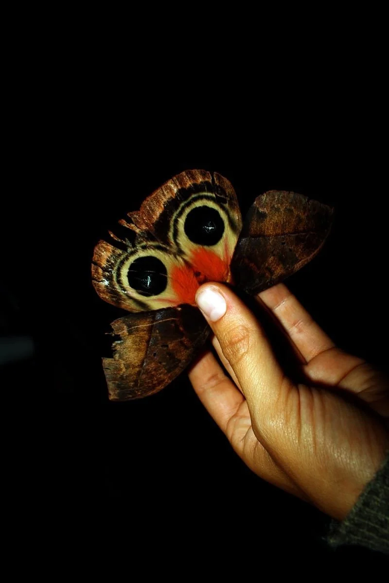 Pedal Through Paradise, The Ultimate Guide to Mountain Biking in Panama