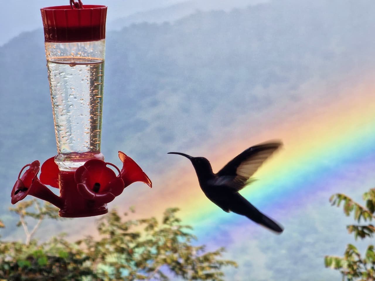 La Yeguada, Panama’s Hidden Highland Escape of Pines, Waterfalls, and Wild Silence