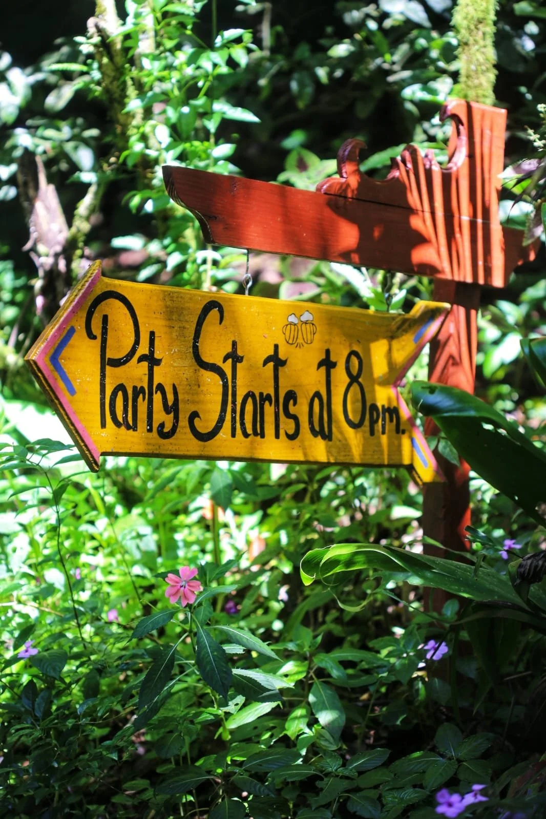 Isla Bastimentos: The Wild Side of Bocas del Toro Every Traveler Should Know