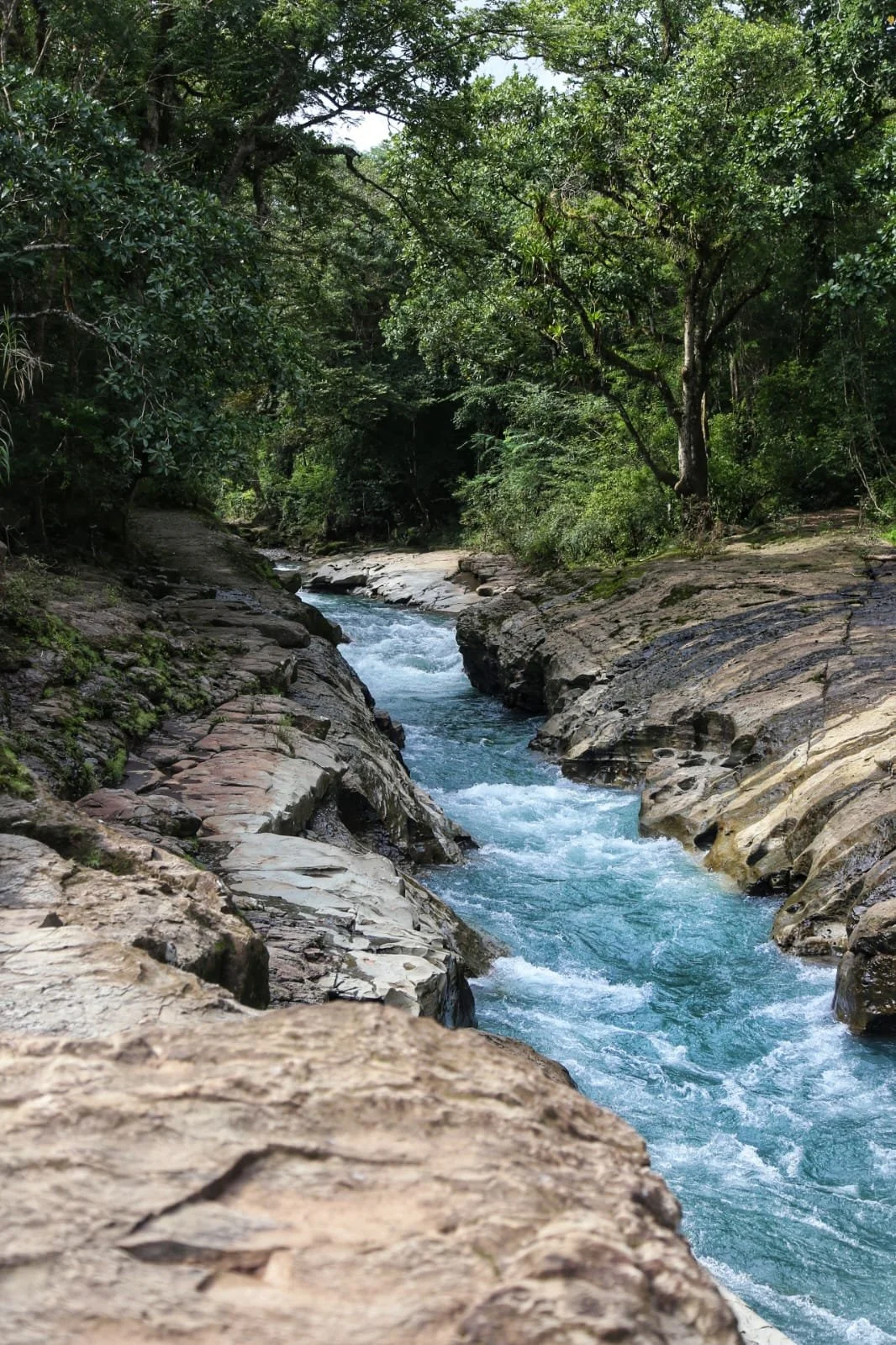 The Water Spine of the World: The Panama Canal in Extreme Detail, Its History, Mechanics, Ecosystem, and How to Experience It in Person