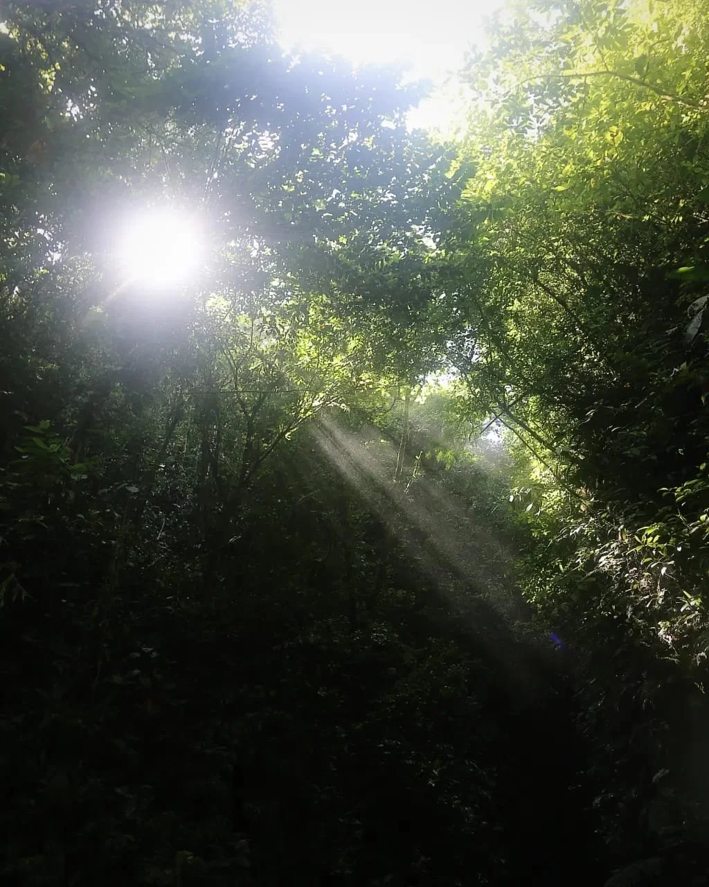 Lost and Found Hostel: Where the Experience Is Built Into Every Day