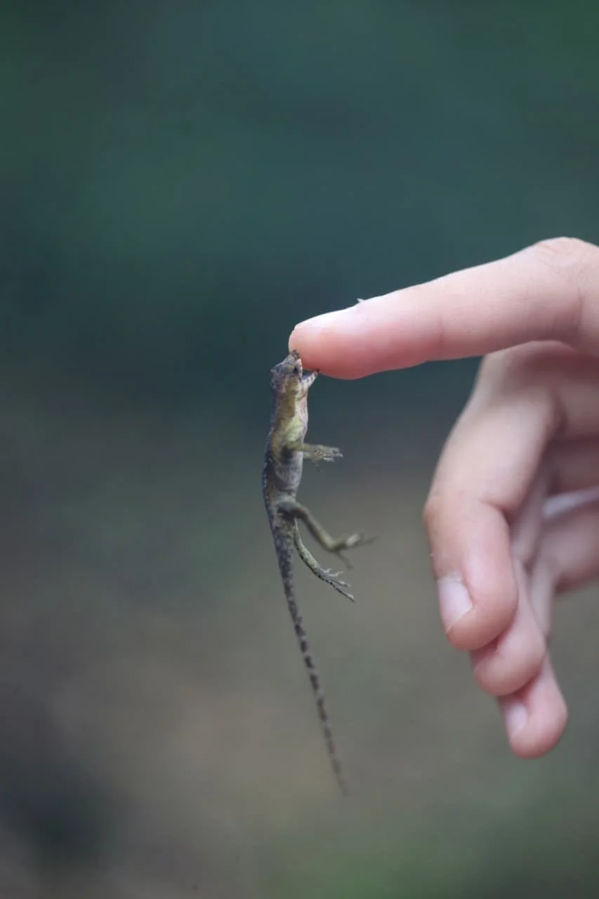 The Price of Paradise: Why Panama Feels Like a Secret Deal Compared to Costa Rica