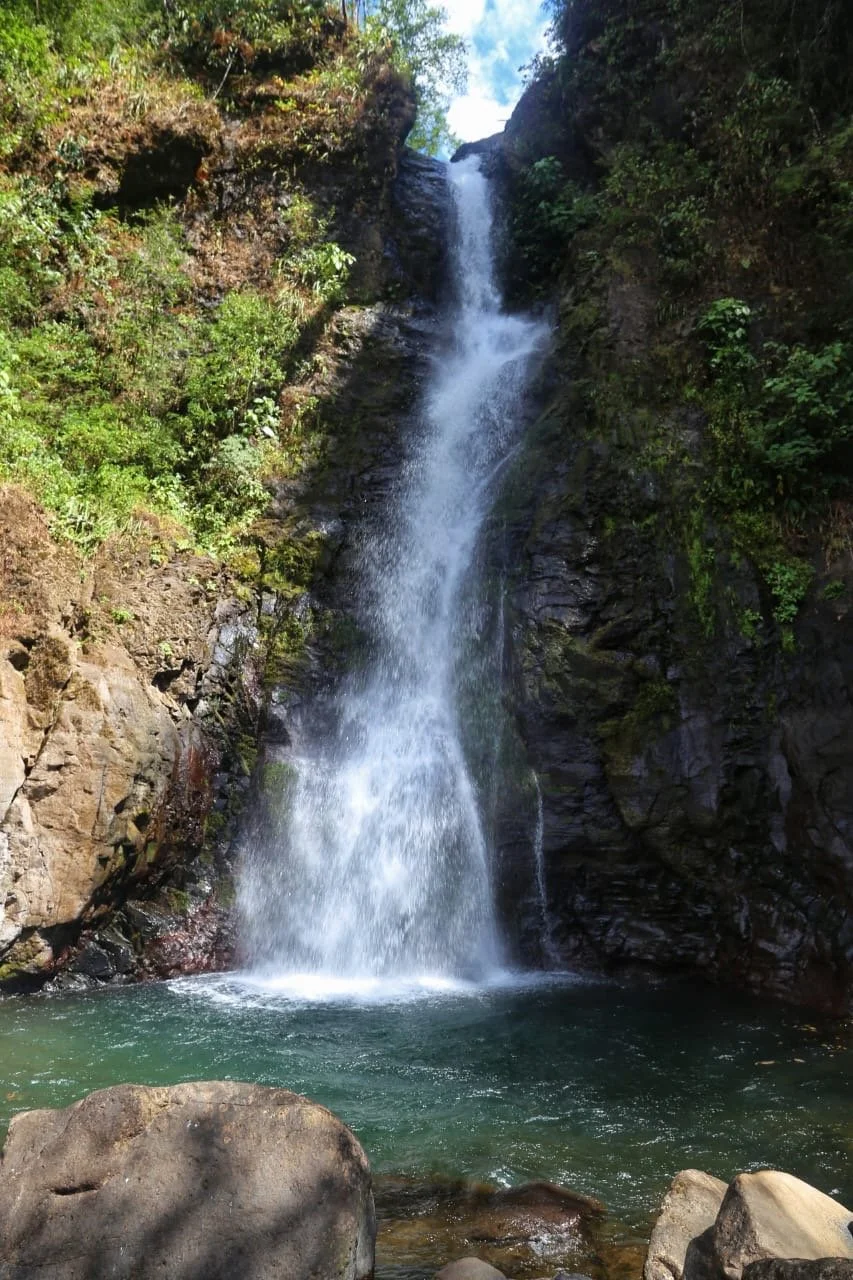 🌿 Where Land Meets Sea, The Living World of Panama’s Mangroves