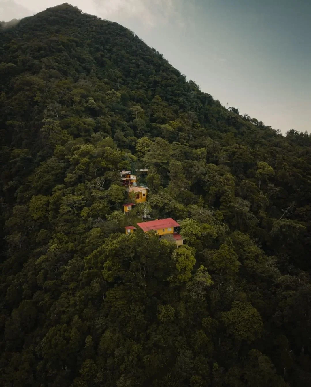 Tiny Wonders of the Tropics, The Insects That Make Backpacking Panama Unforgettable