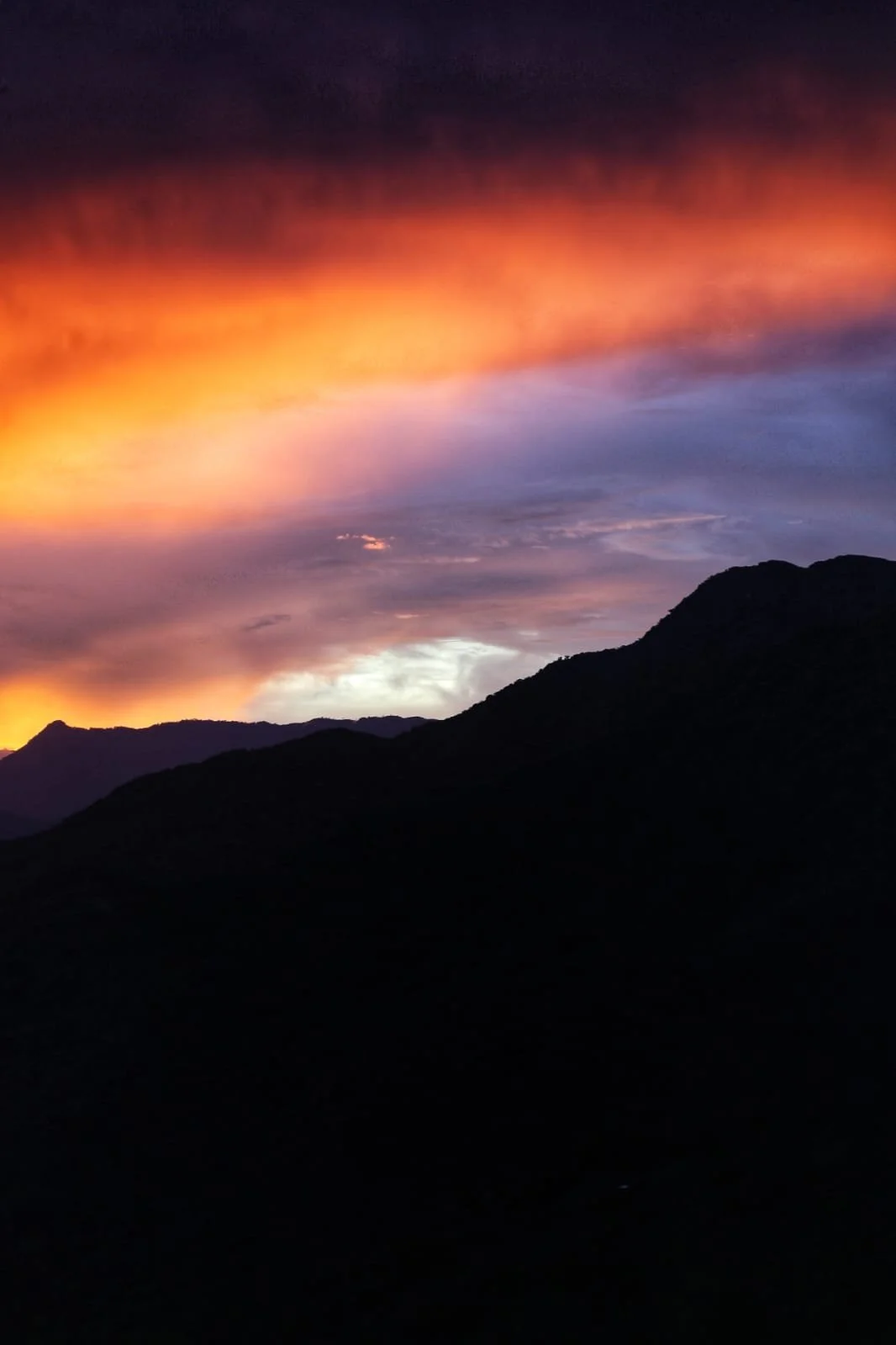 La Amistad International Park: The Wild Heart Between Two Nations