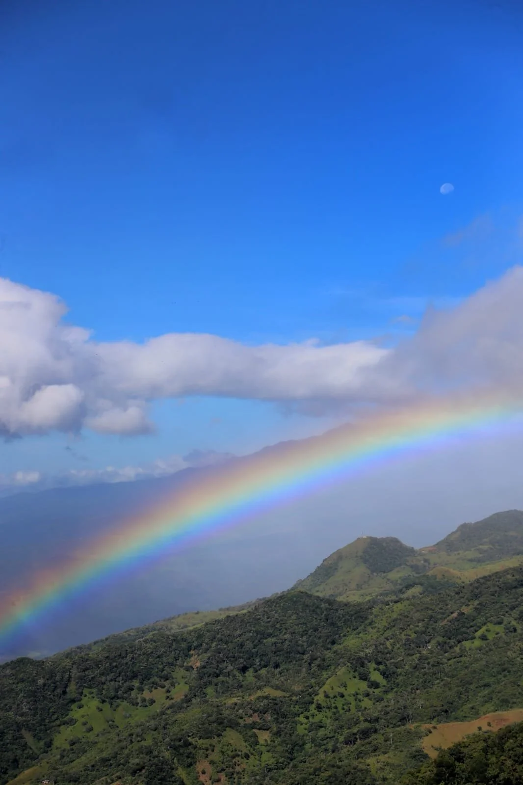 Palo Seco Protected Forest: The Wild Buffer of Western Panama