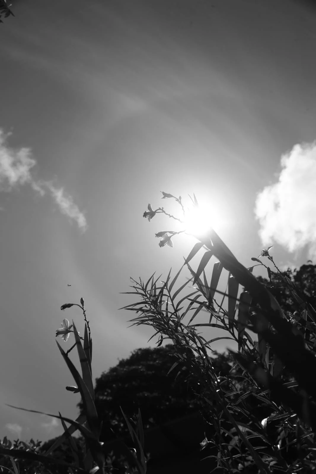 Parque Nacional Soberanía: The Living Jungle at Panama City’s Doorstep