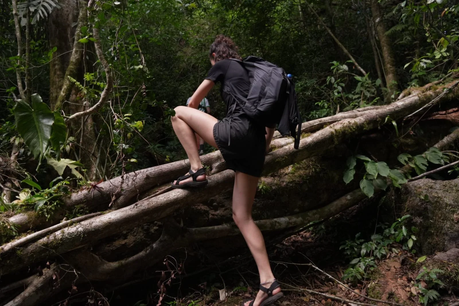 The Hidden Empire of Influence, How Chinese Migration Quietly Transformed Panama