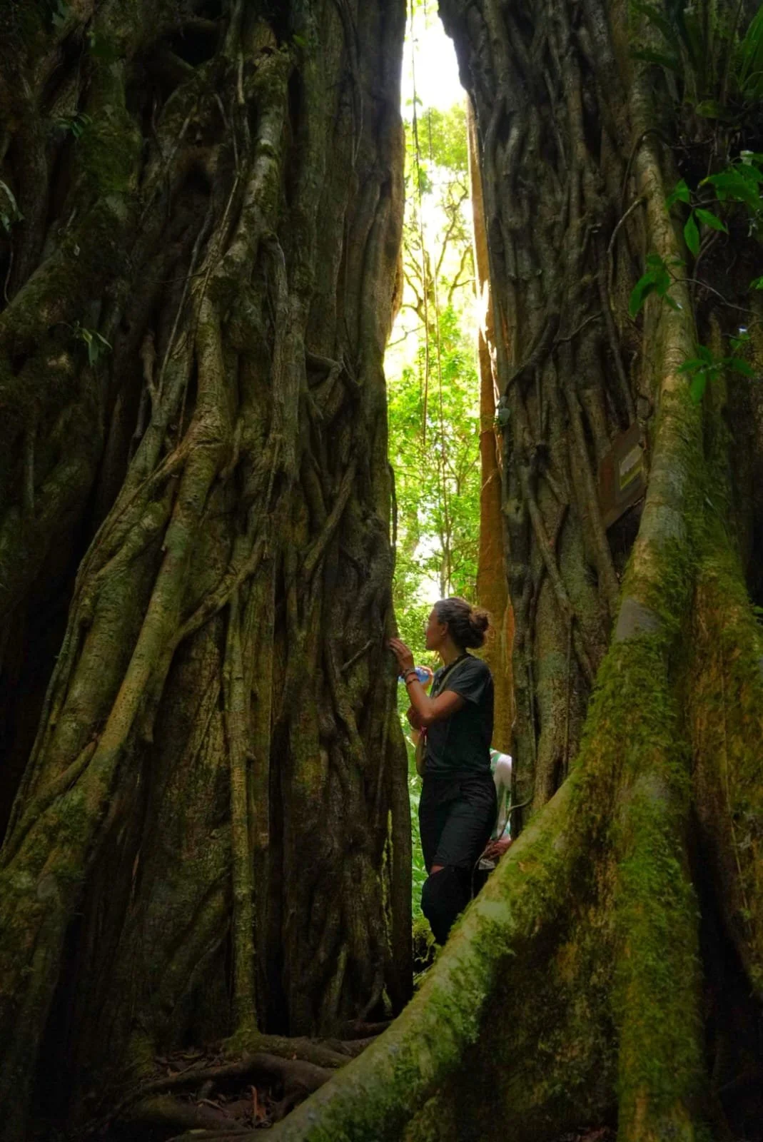 Panama’s Wild Extremes: The Biggest, Fastest, Deadliest, Strangest, and Most Astonishing Creatures in the Country