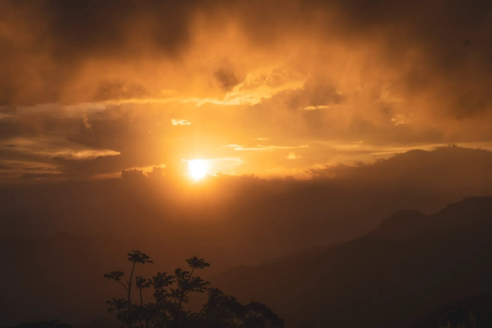 Bats in Panama: Night Skies, Jungle Ecosystems, and the Silent Work of Pollination