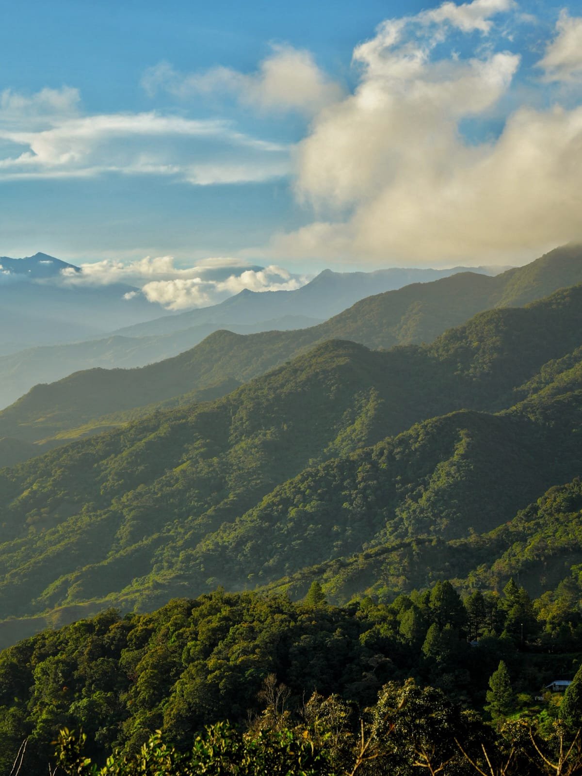 Breakfast in Panama: The Loud, Fried, Beautiful Morning Ritual of an Entire Country